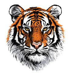 Detailed Tiger Vector Illustration for Professional Design Projects