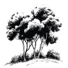 Monochrome Vector Illustration of Trees in Natural Setting for Design Projects