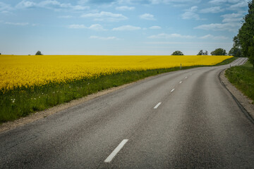 A winding rural road passes through a scenic landscape of yellow rapeseed fields and lush green...