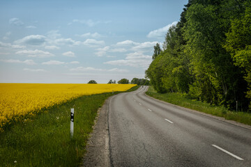 A winding rural road passes through a scenic landscape of yellow rapeseed fields and lush green trees under a bright blue sky with scattered clouds.