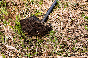 Shovel with dark, nutrient-rich soil on dry grass. Gardening, agriculture, and environmental care.