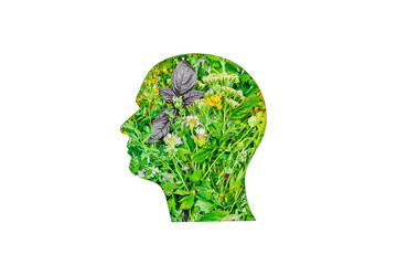 Organic care and eco earth concert. Healthy vegan food, vitamins from nature. Outline head