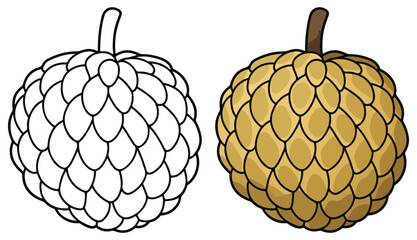 Custard Apple Fruit Line Art Vector Outline Illustration Black and White with Coloring Sample. Bold and Easy Food, Fruits, Sweets, Drinks, Dessert, and Snacks Coloring Pages for Adults and Kids