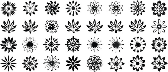 a set of Symmetrical Flower Design Set  Radial Petal Motifs for  design