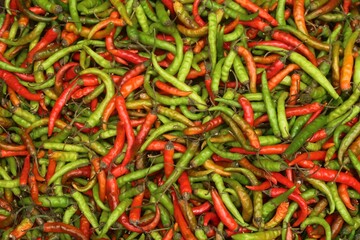Birds eye chilli or thai chilli peppers in the background	