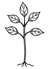 Simple Line Art Drawing of a Young Plant with Roots and Leaves