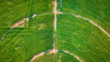 Aerial Center Pivot Irrigation Circles and Crop Fields Geometric Paths Top Down