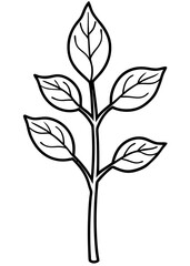 Simple Black and White Line Drawing of a Plant with Leaves