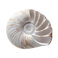 Obraz premium Close-up view of an exquisite nautilus shell. The intricate details of the spiral structure are displayed beautifully, capturing the essence of natural design.