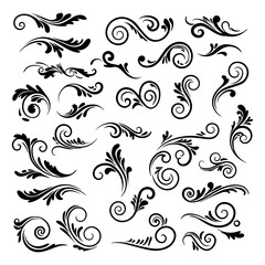 Collection of black floral swirls and flourishes design elements