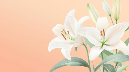 Delicate white lilies against a soft peach background.
