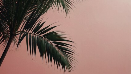 Creative summer copy space layout on pastel background. Minimal abstract tropical, summer and travel concept.
