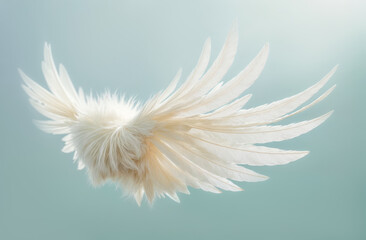 Unique feathered wings designed with soft white fur create a stunning visual effect against a light background