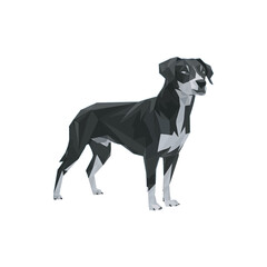 Low Poly Dog in Vector black and grey