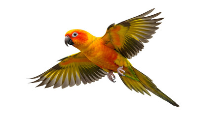 Radiant Flight Sun Conure Parrot soaring wings vibrant colors tropical bird beauty exotic pet
