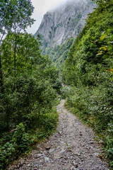 Obraz premium Rocky Forest Trail Leading to Dramatic Mountain Cliff in Kocaeli, Türkiye on a Cloudy Day