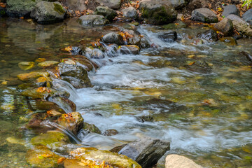 Clear Mountain Stream Cascading Over Mossy Rocks in a Forest Setting, Başiskele, Kocaeli, Türkiye
