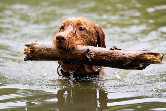 This Ribble CGR AL Blue XL is a fantastic choice for anyone looking for a high-quality gravel bike. With a 700C wheel size and a frame size of 58cm, it's perfect for those who want a comfortable ride 
