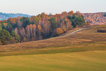 hilly landscape in warm colors