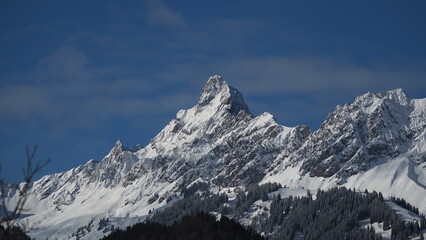 snow covered mountains