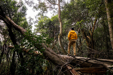 Exploring nature in a vibrant forest wilderness of a glamping