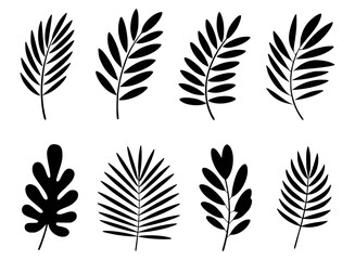 Obraz premium Set of black and white tropical leaf illustrations