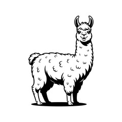 Llama Standing Proud: A majestic Llama stands tall, its elegant form captured in a minimalist black and white illustration. The image embodies serenity, simplicity.