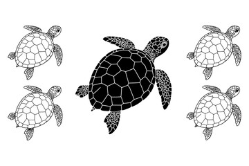 Sea Turtle Vector Graphics Black and White Illustration Set