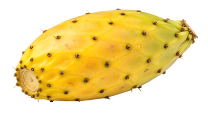 Ripe Yellow Prickly Pear Cactus Fruit (Opuntia)