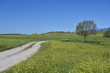 Bustarviejo-Navalafuente