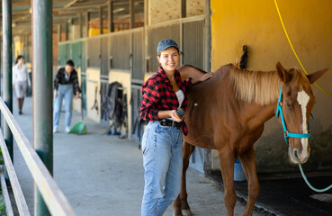 Positive girl worker has put horse near hitching post, and is combing animals wool crupper. Female...