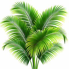 Fototapeta premium palm tree isolated on white