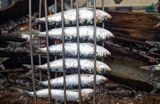 Sardine Festival, in Cand&aacute;s, Asturias, Spain. 