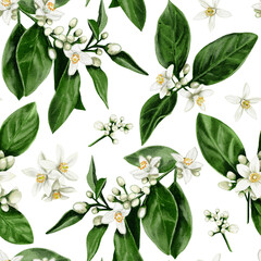 Seamless pattern of orange tree flowers. Leaves and branches with white buds and flowers. Orange blossom. Small white spring flowers. illustration without background. Hand drawn
