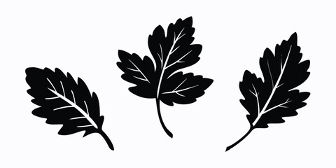 Obraz premium vector silhouettes of leaves
