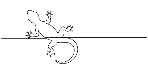 One continuous line drawing of lizard vector illustration. Unravel the secrets of their scaly skin, minimalist concept style, A realistic lizard drawn with a single continuous line Chameleon.