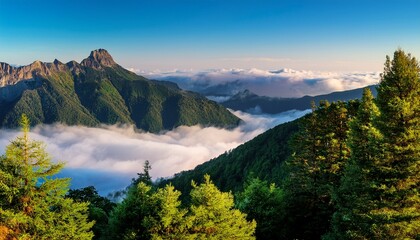 Obraz premium a breathtaking view of green mountain peaks rising above the clouds bathed in soft morning light