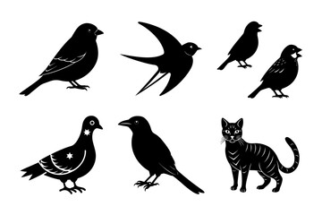 Fototapeta premium Tropical Birds Silhouettes Vector Set