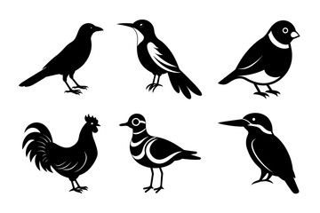 Bird Shadow Icons Vector Pack