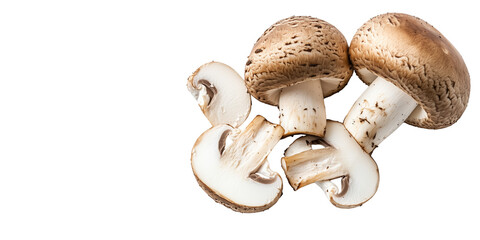 Top view of sliced mushrooms, white background