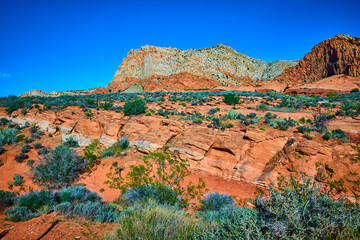 Red Sandstone Cliffs and Desert Vegetation Babylon Arch Utah Eye Level View