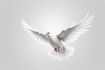 Obraz premium Dove flying isolated on transparent background