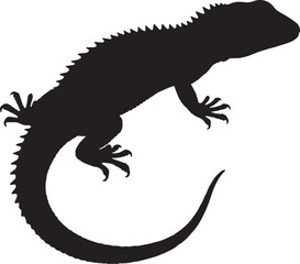 Obraz premium Black silhouette illustration of a lizard reptile with a spiky dorsal crest and a curved tail