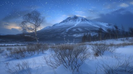Spectacular aurora borealis illuminating a snow covered mountain landscape at night