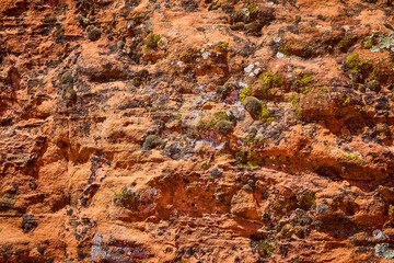 Rugged Desert Rock Face with Moss and Lichen Close Up Eye Level View