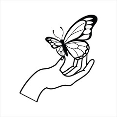  Hand Holding Butterfly Line Art Vector