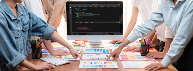 Software development programming on computer screen for brisk application and program coding