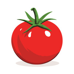 High-Quality Vector Illustration of Fresh Tomato - Ideal for Healthy Food Concepts