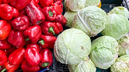 Lush cabbage meets vibrant red peppers in a playful tango of colors, ideal for Mabon or Oktoberfest...