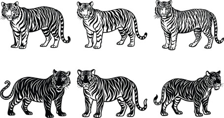Set of stylized vector illustrations featuring two white tigers and two black panthers in a walking pose, rendered in bold black-and-white line art with mirrored symmetry.